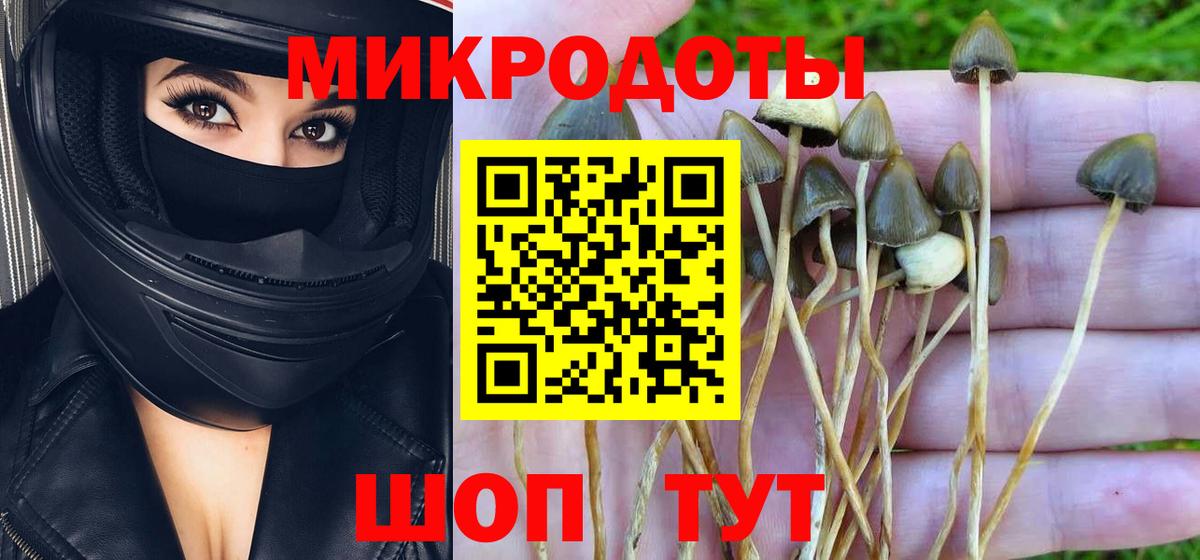 Северск  купить  цена  Псилоцибиновые грибы Magic Shrooms  Вход с VPN  Галлюциногенные грибы прущие грибы 