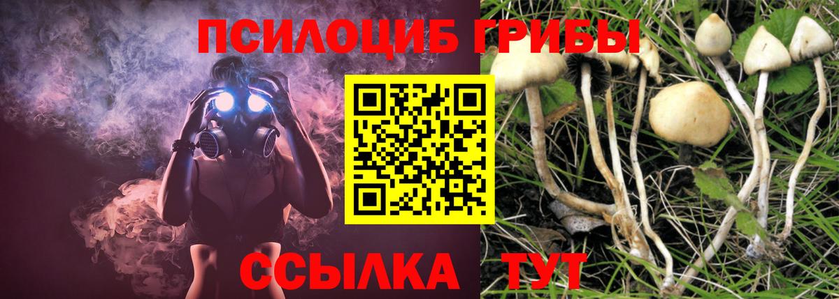 Галлюциногенные грибы ЛСД Северск