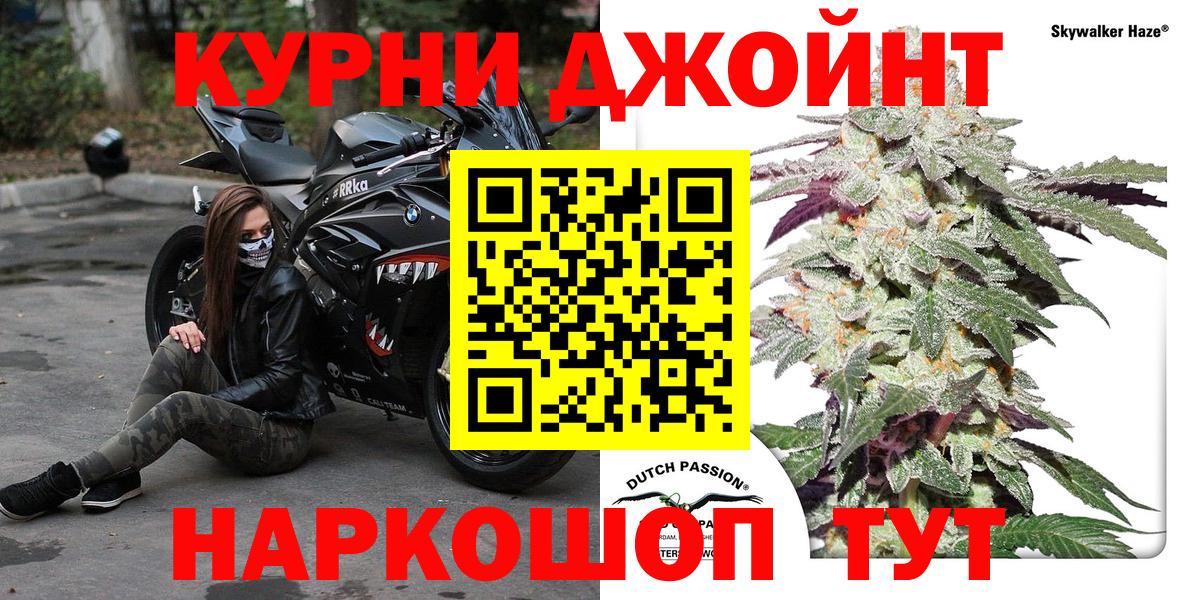 Канабис сатива Северск